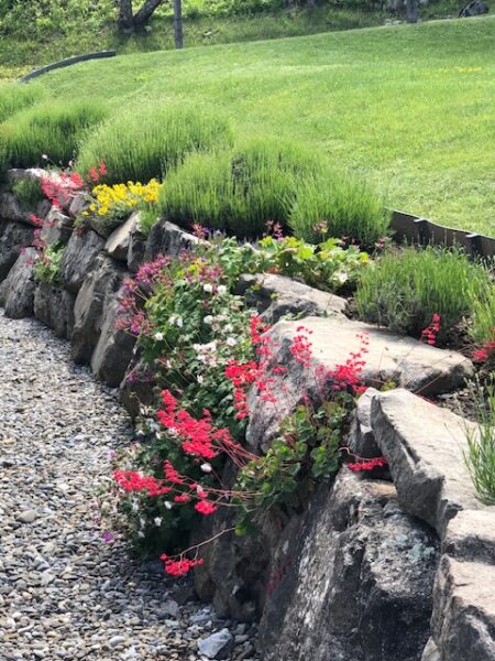 Une variété de fleurs nichées dans le mur de la terrasse vous adressent un sourire amical