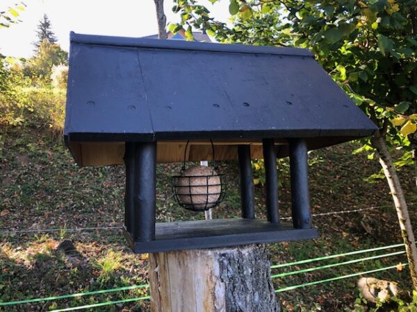 Nos amis les oiseaux